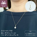 【ふるさと納税】 ペンダント ネックレス ジュエリー アクセサリ— レディース ダイヤモンド 0.01ct あこや真珠 パール K18 イエローゴールド シンプル ジュエリーケース ペーパーバッグ付 保証書付 k152-012