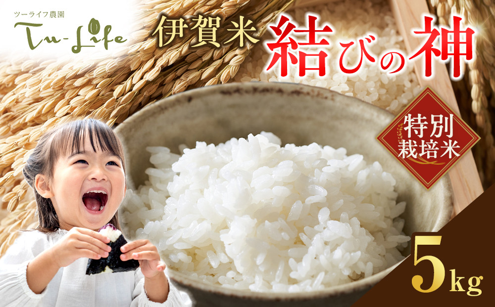 特別栽培米・伊賀米結びの神 5kg 242161_AH002
