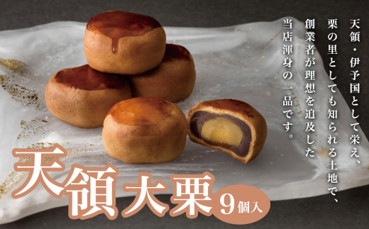 天領大栗 9個入り