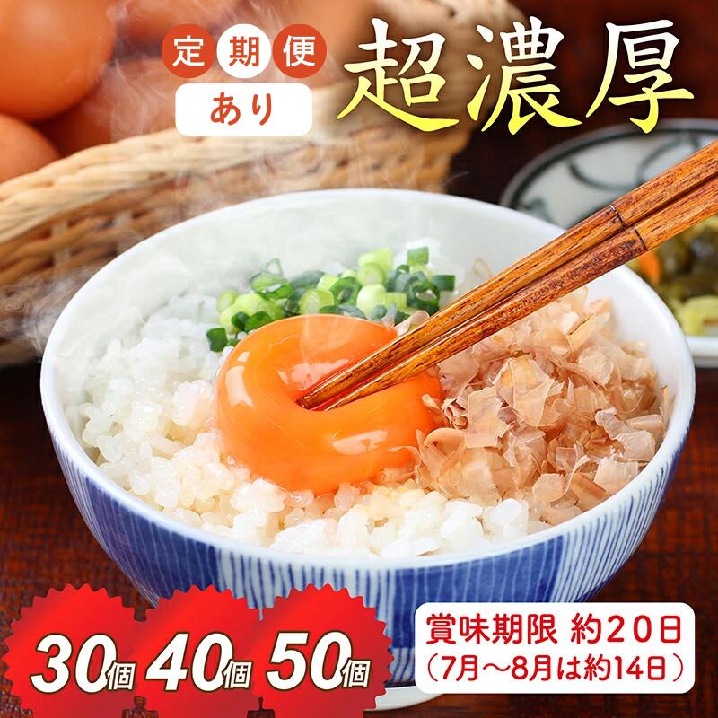 賞味期限20日！ミネラルを豊富な越前赤玉子50個（45個＋卵割れ補償5個）＊北海道・沖縄県 配送可能 / 送料無料 福井県 越前市 卵 たまご タマゴ ヨード 訳あり