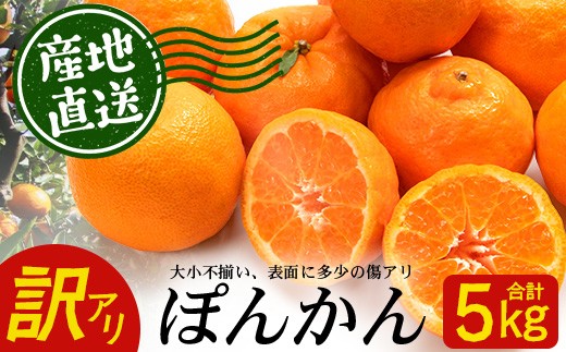 【訳あり】※先行予約・数量限定※ 南大隅の太陽浴びた甘くて・おいしい ぽんかん 約5kg≪2027年1月中旬以降発送予定≫  ID-2｜鹿児島県 南大隅町