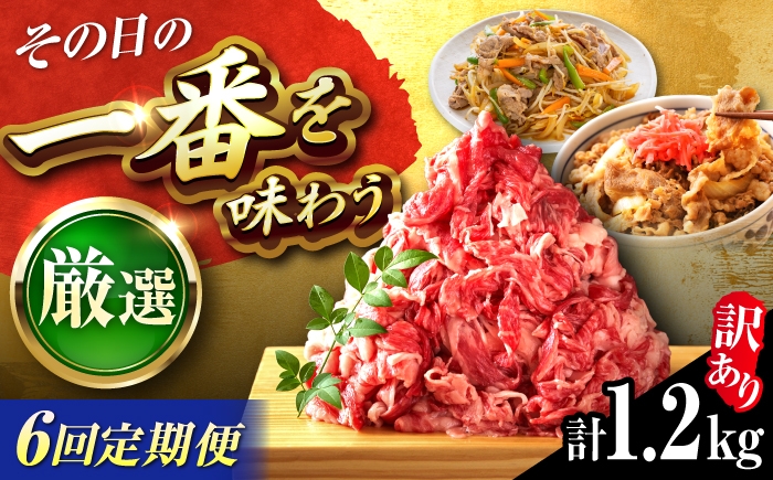 
                  【全6回定期便】【訳あり】博多和牛 切り落とし 1.2kg(600g×2P) 吉富町/株式会社MEAT PLUS [BGAB093] 国産 和牛 ブランド牛 切り落とし 赤身 小分け きりおとし福岡県
                