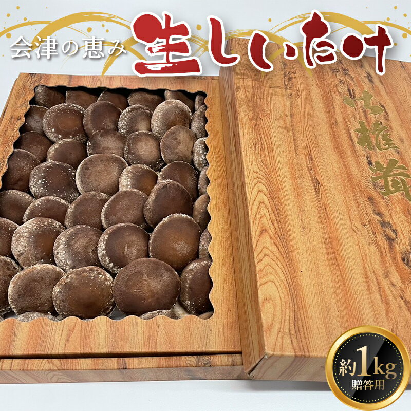 【ふるさと納税】 《数量限定》 2025年秋発送！贈答用 会津の恵み 生しいたけ1kg F4D-0711