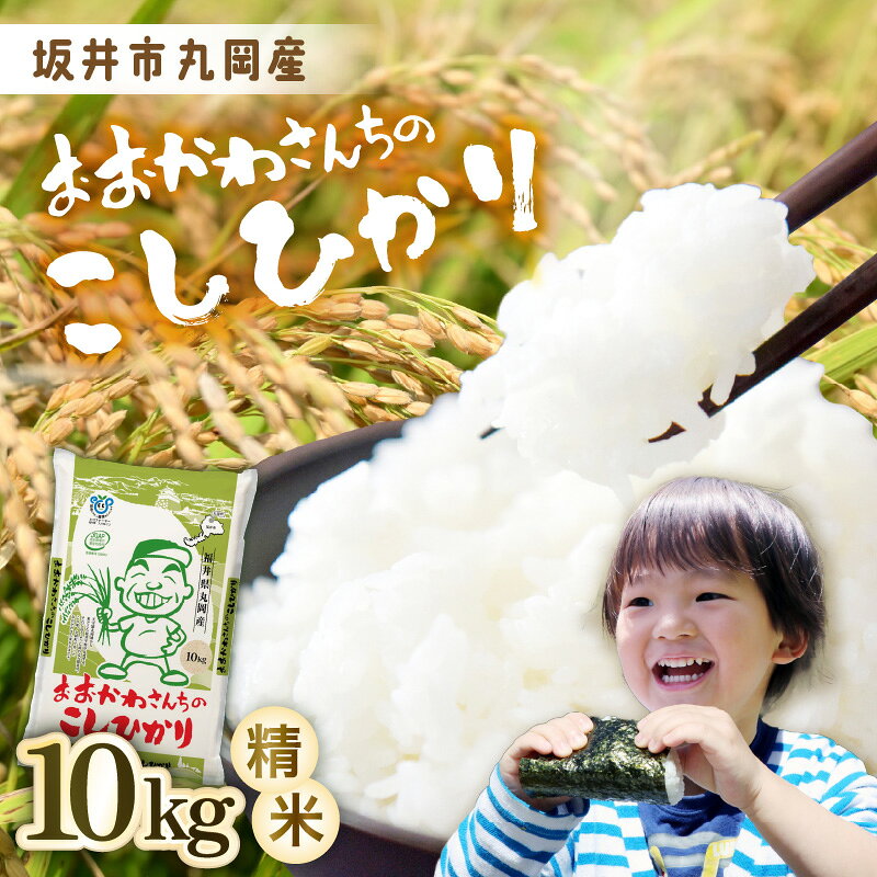 【ふるさと納税】【令和7年産】 おおかわさんちのコシヒカリ 10kg 【コシヒカリ 米 おこめ 精米 10キロ ブランド米 国産】