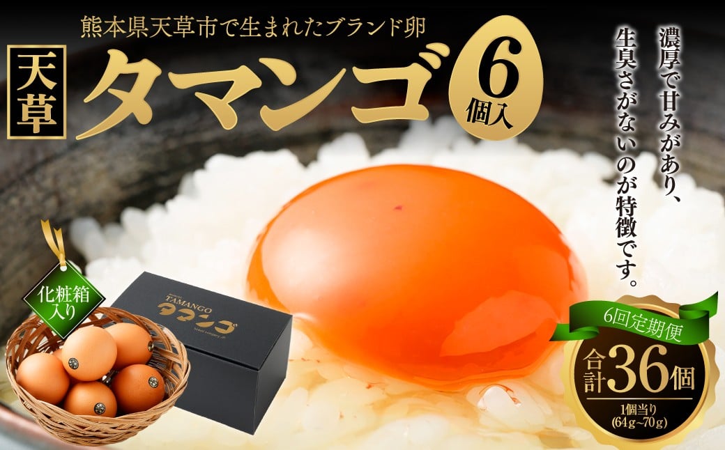
            熊本県天草市で生まれたブランド卵「天草タマンゴ」6個入 ／ 化粧箱×6回 計36個 化粧箱入 【6ヶ月連続定期便】 卵 たまご タマゴ 生卵 生たまご 卵黄 卵 定期便 6回 熊本県 天草市 
          