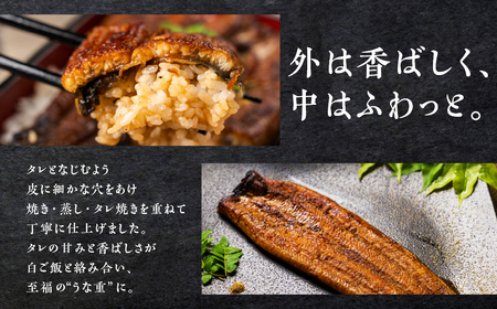 ３尾 うなぎ晴々 蒲焼き 新仔 うなぎ