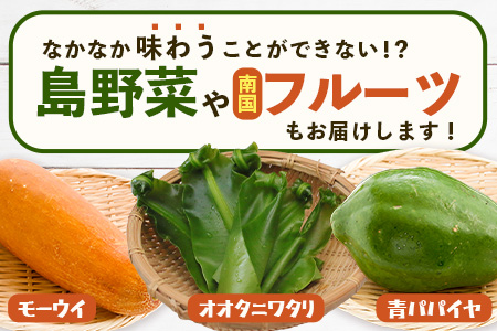 【4回定期便】沖縄県 石垣島の野菜・フルーツBOX ≪野菜4～5種類、フルーツ1~2種類≫（1箱×4回）じょーとーまーさん(とても美味しい) 石垣島の野菜とフルーツの詰め合わせセットをお楽しみください