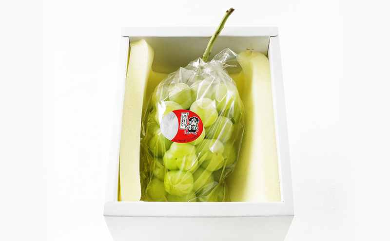 ぶどう 2026年 先行予約 桃太郎 ぶどう 1房（1房約670g）化粧箱入り マスカット ブドウ 葡萄  岡山県産 国産 フルーツ 果物 ギフト 大粒 果実 種無し そのまま 粒ごと 酸味 甘さ 人