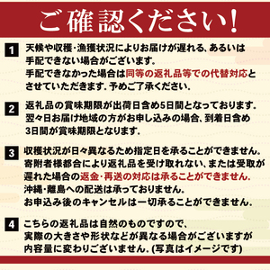 期間限定 水揚げ24時間以内発送 綾里の生うに 300g 150×2パック