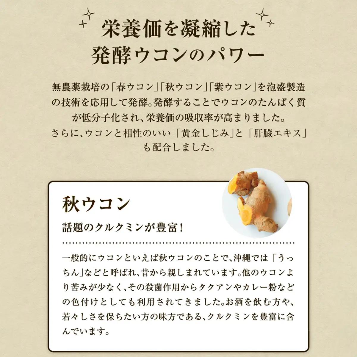 《定期便12回 2袋》琉球発酵ウコン 1袋(1粒重量250mg 3粒×31包)  | 沖縄県産の7種類のウコン | 飲みやすい タブレット 無農薬 農薬・化学肥料 不使用 自然由来 | 株式会社 しま