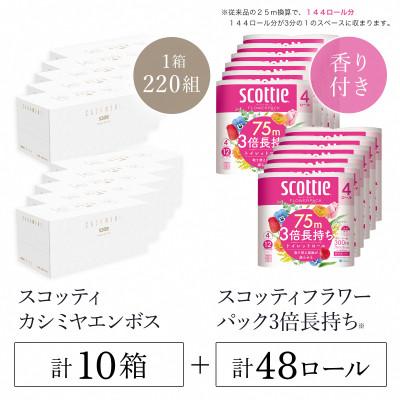 ふるさと納税 福知山市 スコッティカシミヤエンボス 10箱 + トイレットロール48ロール【複数個口で配送】