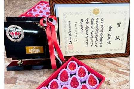 【先行予約】古都華250g×2 (L～2L)【2027年1月以降お届け】