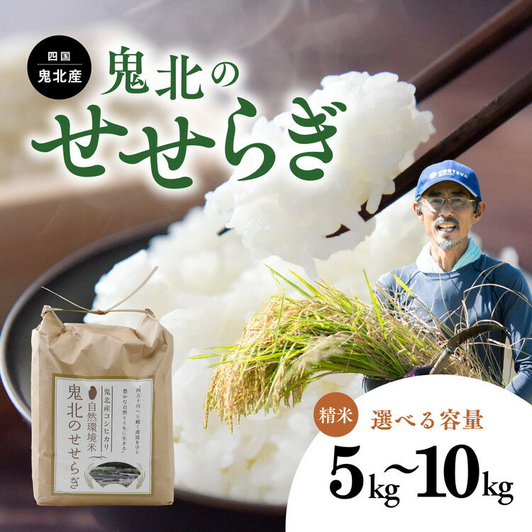 【ふるさと納税】＼選べる内容量／【先行予約】【R7年産】【環境保全米】鬼北町のせせらぎ（コシヒカリ） ｜ お米 お米不足 お米品薄 おいしい お米 事業者支援 送料無料 白米 精米 国産 限定 愛媛県産 鬼北町 ※2025年9月上旬より順次発送予定 ※離島への配送不可