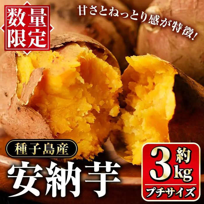 安納芋 さつまいも プチサイズ3kg 【種子島安納大地】n224