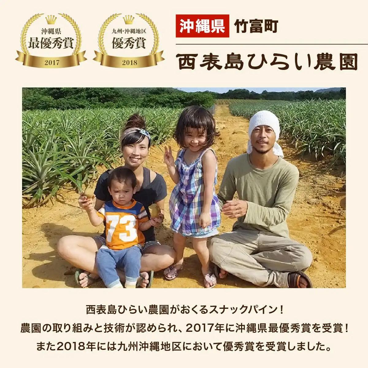 【2027年 先行予約】スナックパイン 約10kg 