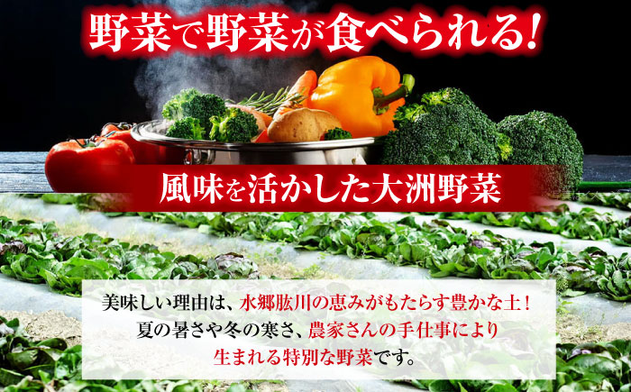 【全6回定期便】【シェフの目線】栽培期間中農薬不使用！大満足 旬のお野菜セット　愛媛県大洲市/有限会社ヒロファミリーフーズ [AGBX004]野菜 サラダ カレー 農業 トマト 料理  きゅうり 鍋 