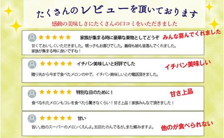 メロン 12ヶ月定期便 クラウンメロン並 特大玉1 5kg前後 メロン