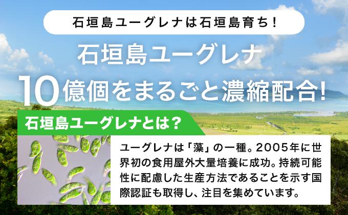 【定期便】《6ヶ月》からだにユーグレナ グリーンスムージー乳酸菌 (195g×15本×6回) | ユーグレナ スムージー 健康飲料 乳酸菌飲料 健康 栄養 栄養価 ふるさと 沖縄県 沖縄 石垣 石垣島