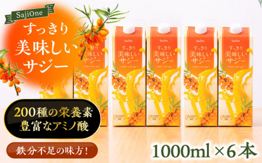 【3か月分を一回で配送】家族みんなでおいしく飲める！すっきり美味しいサジー（6本）《豊前市》【ハウスボトラーズ】 [VAX046] [VAX046]