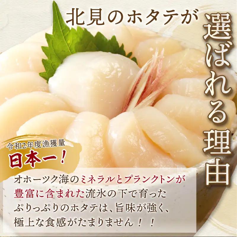 【2026年6月発送】北海道オホーツク海産 ホタテ貝柱 800g 生食用 ( 海鮮 魚介 魚介類 貝 貝類 帆立 ほたて お刺身 刺身 貝柱 海鮮丼 帆立貝柱 ホタテ )【037-0016】