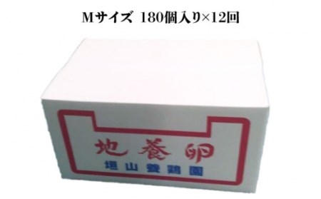 【黄身がつかめる最高級の卵】【12回定期便】かきやまの「地養卵」 Mサイズ 180個×12回定期便＜垣山養鶏園＞[CBB012] 生卵 たまご 鶏卵 卵 卵ギフト 卵 たまご 卵セット 卵焼き 卵かけ