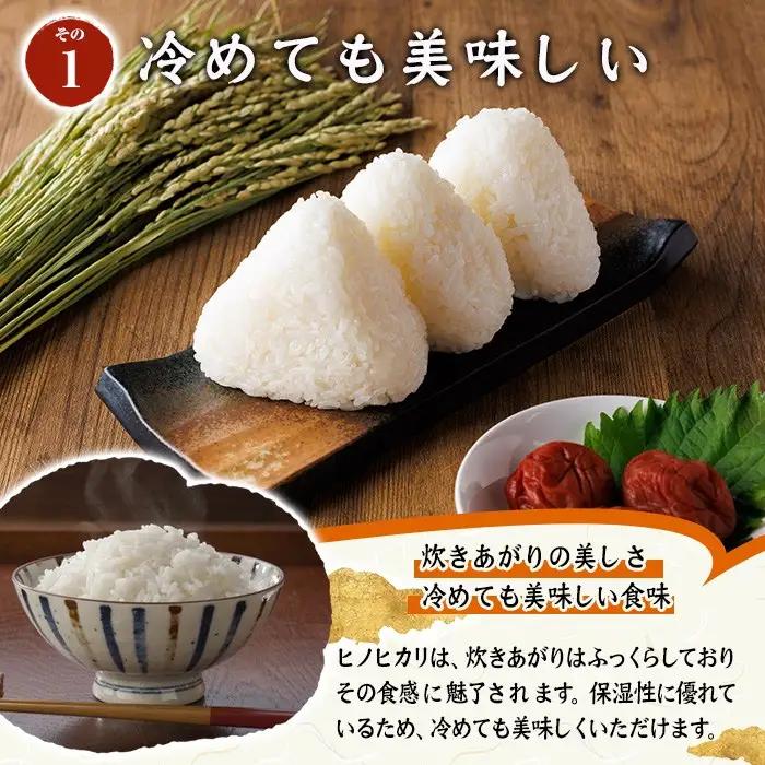 ヒノヒカリ 白米 (計10kg) お米 ごはん ご飯 ひのひかり 数量限定 【117800201】【ジョイライス大分】