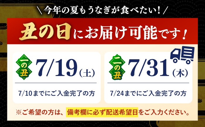 特大！ 鹿児島産 うなぎ 白焼 2尾セット　国産 鰻 ウナギ