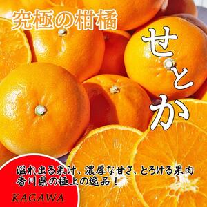 ＜果汁たっぷりコクのある甘みが自慢＞せとか3kg詰め合わせ