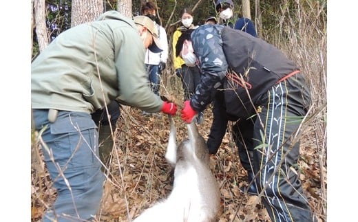 鹿を仕留め、命をいただく。狩猟体験　2名様 【食育 絆づくり 静岡県 伊豆市】F-39