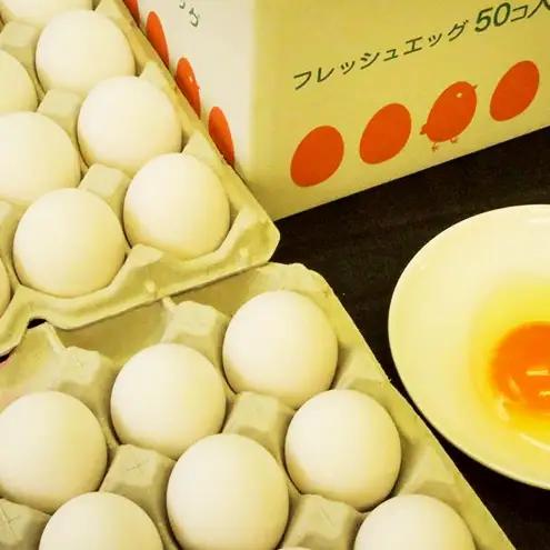 農場直送！吾妻十二ヶ原の卵（50個） 鶏卵 たまご タマゴ 卵 安心 こだわり 食卓 堀田養鶏場 群馬県 東吾妻町