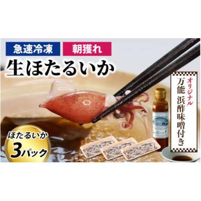 ふるさと納税 滑川市 生ホタルイカ急速冷凍とオリジナル万能酢味噌付き カネツル砂子商店 3パック 計750g