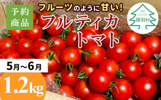 
            3人に1人がリピータ！数量限定❁先行予約品※2025年5月～6月発送フルーツのように甘い フルティカトマト 1.2kg 令和7年度産 ※予約商品※割れ保障付 5000円
          
