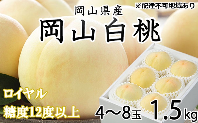 桃 2025年 先行予約 岡山 白桃 ロイヤル 4～8玉 約1.5kg JAおかやまのもも（早生種・中生種） もも モモ 岡山県産 国産 フルーツ 果物 ギフト