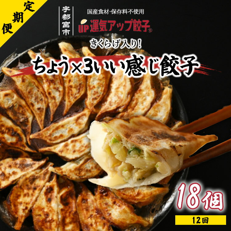 【ふるさと納税】【定期便12回】宇都宮餃子 運気アップ餃子 ちょう×3いい感じ餃子（18個×12回　合計216個）【ぎょうざ ギョウザ ギョーザ 冷凍食品 冷凍餃子 惣菜 夜ご飯 おかず おつまみ 手軽 時短 お取り寄せ グルメ 送料無料 栃木県 宇都宮市】※配送不可地域：離島