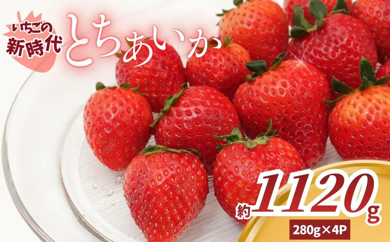 【2027年 先行予約】いちごの新時代「とちあいか」280g×4P（1120g）｜栃木県 矢板市産