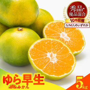【2026先行予約】ゆら早生 みかん 箱込 5kg ( 内容量 4.4kg ) S M Lサイズのいずれか 秀品 優品 混合 有田みかん 和歌山県産_MK1056