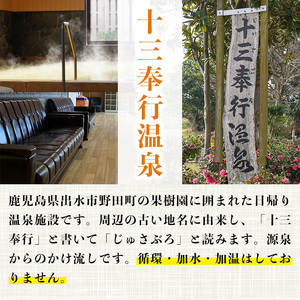 十三奉行(じゅさぶろ)温泉 入浴券 25回分 入浴チケット 【アーステクノ】 i1218-B