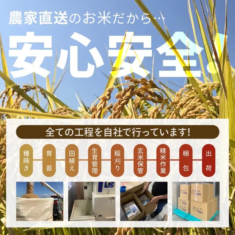 【先行予約】【令和8年産・新米】【玄米 5kg】 コシヒカリ 5kg 【2026年10月上旬以降順次発送】 [A-8993_02]