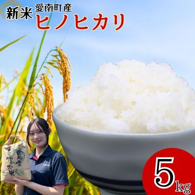 ふるさと納税 愛南町 新米 令和7年産 ヒノヒカリ 5kg 愛南町 青果市場