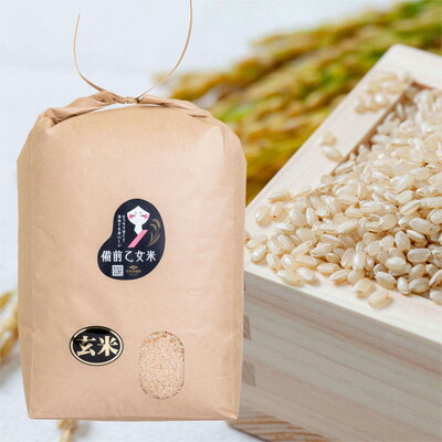 【ふるさと納税】米 令和7年産 石原果樹園の備前乙女米 玄米 10kg×1袋 ※11月上旬～順次発送予定 ライス お米 ライス 乳酸菌栽培 岡山県 おにぎり お弁当　お届け：11月上旬～順次発送予定