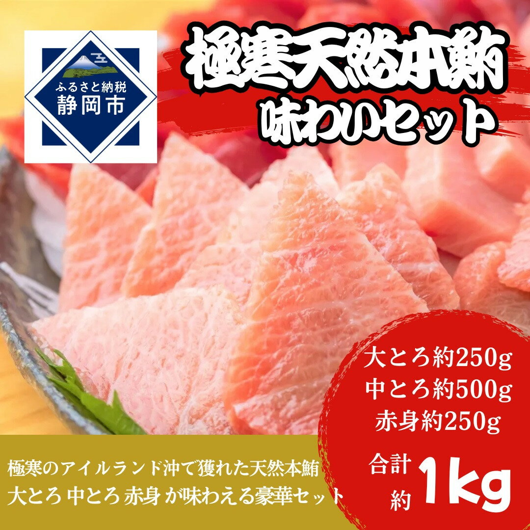 【ふるさと納税】冷凍 鮪 極寒 天然 本鮪 味わいセット（大とろ・中とろ・赤身）静岡市 天然 まぐろ トロ マグロ 厳選 海生水産 海の幸 | 刺身 生食用 肴 つまみ お酒のあて 寿司ネタ 寿司