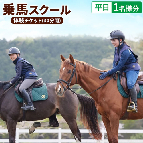 乗馬 スクール 体験 チケット 30分 平日 1名様分 クレイン栃木 《30日以内に出荷予定(土日祝除く)》栃木県 野木町 馬 乗馬体験 チケット 初心者 OK