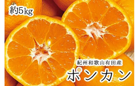 紀州和歌山有田産ポンカン　5㎏	※2026年2月上旬頃～2026年2月下旬頃に順次発送（お届け日指定不可）【uot722】