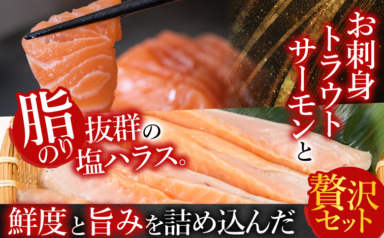 お刺身トラウトサーモン1.5kg＆塩サーモンハラス1.1kg B-09027