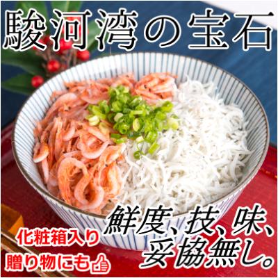 ふるさと納税 吉田町 【明治神宮・奉献品】駿河湾の恵み『極上釜あげしらす・桜えびセット M』【丸三水産】