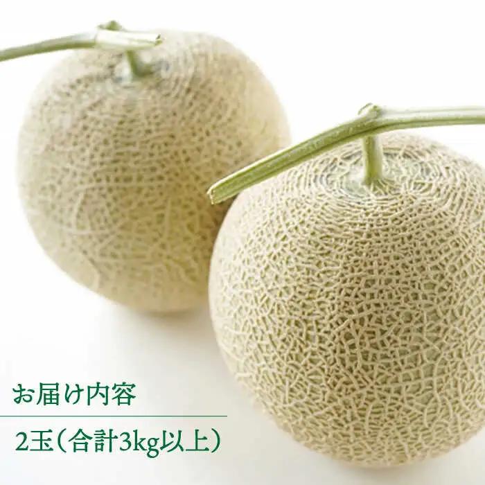 【2026年11月中旬-発送】アールスメロン 2玉 [SCB074] マスクメロン 高級メロン フルーツ 家庭用