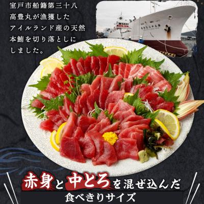 ふるさと納税 室戸市 天然本マグロ(赤身・中とろ)切り落とし400g 刺身用 訳あり 海鮮漬け丼などアレンジさまざま |  | 01