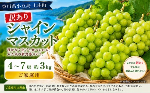 
                  シャインマスカット 訳あり 4～7房 約3kg ご家庭用 家庭用 ぶどう 葡萄 マスカット 種なしぶどう 種なし 種無し 皮ごと 皮ごと食べられる 新食感 不揃い 見た目訳あり 傷 粒 デザート お取り寄せ 果物 フルーツ くだもの 香川県 土庄町
                