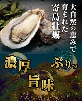 寄島 漁港の釜飯 かきめし 210g×2個 1回 ハレノヒ良品(まからずやストアー)《90日以内に発送予定(土日祝除く)》【配送不可地域あり】---124_f382_90d_23_13500_1---