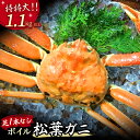 【ふるさと納税】 【魚倉】足1本なし ボイル 松葉ガニ （特特大 1,100g 以上） 訳あり ズワイガニ 松葉蟹 欠け カニ かに かにしゃぶ 【11月から3月発送予定】